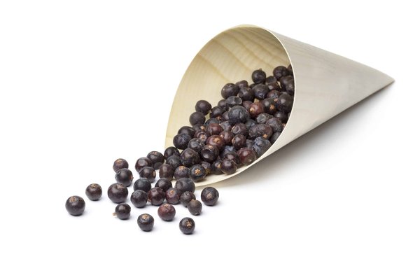 astuces pour entretenir et réparer vos sacs en cuir pour les garder en parfait état